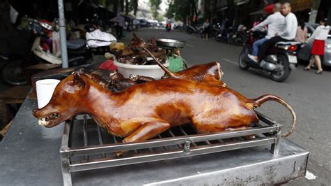  Laibin Kylmä Koiranliha Keitto: Umami-Täynnäinen ja Pohjoisen Jääkylmyys Seurassa!